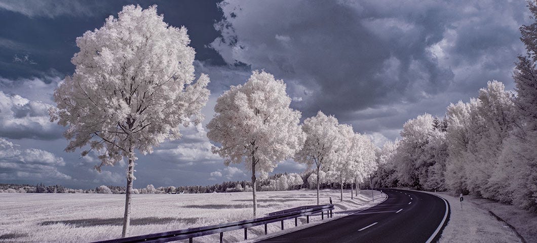 Infrared Photography